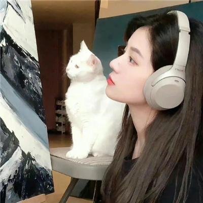 精灵传奇